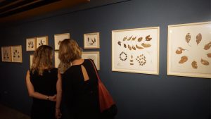 Mostra Desenhos da Estação de Julia Panades @ GAL -  Arte e Pesquisa